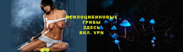 спиды Алексин