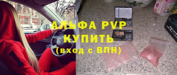 шишки Осташков