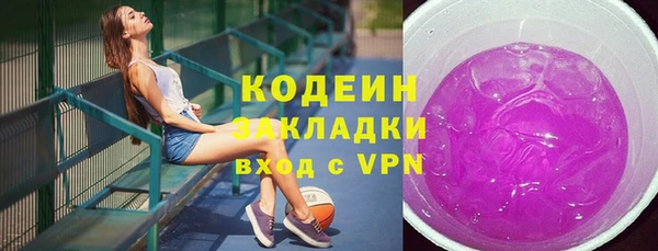 шишки Осташков