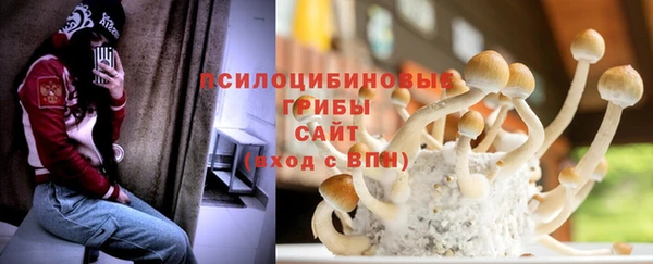 соль курить ск Алзамай